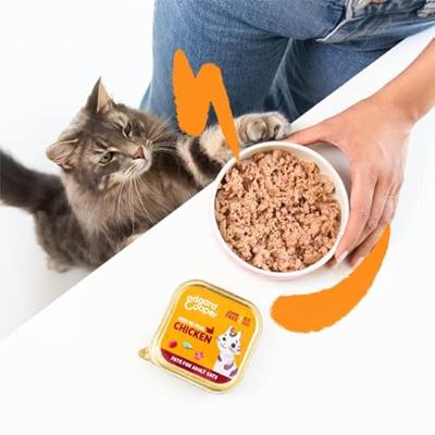 Edgard & Cooper biologisch kip paté kat natvoer kuipjes 16 x 85gr