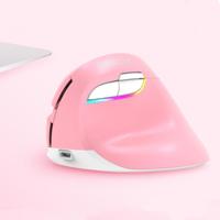DELUX M618 Mini 2.4G Wireless 2400DPI USB Rechargeable Ergonomic Vertical Mouse (Pink) - thumbnail
