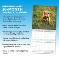 Labrador Retriever Fox Red Kalender 2026 - thumbnail