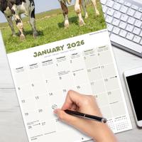 Koeien Kalender 2026 - thumbnail