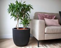 Capi nature groove nl bol bloempot 54x52 cm warme taupe - thumbnail