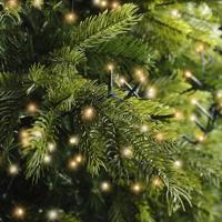 LED compact lights 750 warm wit en klassiek warm lampjes - thumbnail