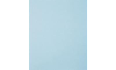 PFERD TOOLS 45015120 Handschuurpapier Korrelgrootte (num) 1200 (l x b) 280 mm x 230 mm 50 stuk(s) PFERD TOOLS 45015120 Handschuurpapier Korrelgrootte (num) 1200 (l x b) 280 mm x 230 mm 50 stuk(s)