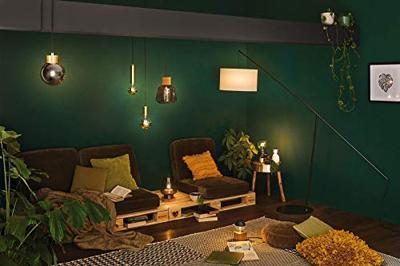 Paulmann Stian 79755 Hanglamp LED E27 Messing (geborsteld)