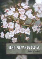 Een tipje van de sluier (Paperback) - thumbnail