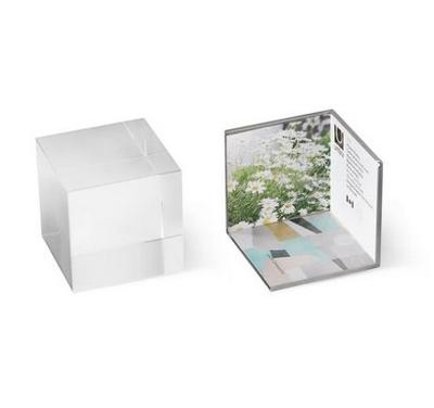 Umbra 1013709-221 fotolijst Nikkel Fotolijst voor meerdere foto's