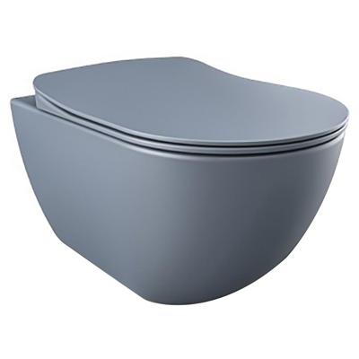 Wandcloset BWS Freedom Randloos Met Bidet Mat Basalt (Exclusief zitting)