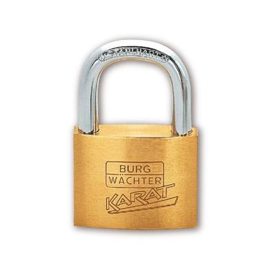 Burg cilinder hangslot 50mm 217 50