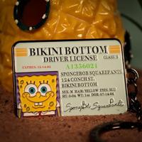 SpongeBob Squarepants Keychain Driver License Limited Edition - thumbnail