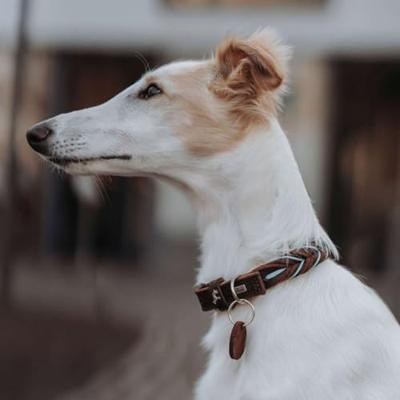 HUNTER Hondenhalsband Solid Education Cord, bruin-turkoois, Maat: 60 HUNTER Hondenhalsband Solid Education Cord, bruin-turkoois, Maat: 60