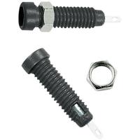 Stäubli LB2-IF Laboratoriumbus Bus, inbouw verticaal Stift-Ø: 2 mm Zwart 1 stuk(s) - thumbnail