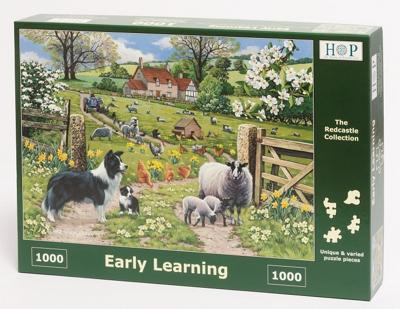 Early Learning Puzzel 1000 stukjes Early Learning Puzzel 1000 stukjes