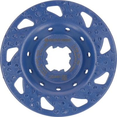 Bosch Accessories 2608901684 Schuurschijf Boordiameter 22.23 mm 1 stuk(s)