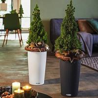 Bloempot Lechuza - thumbnail