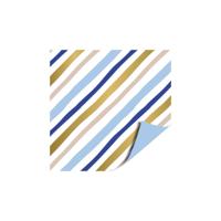 Kassaplan Toonbankrol 50cm 100m painted lines blue - thumbnail