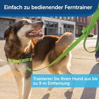 PETSAFE CHEESE - thumbnail