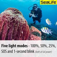 Sealife SLKIT06 SD Mini 900 Light Set - thumbnail