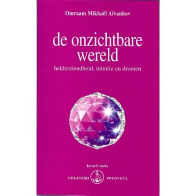 De onzichtbare wereld (Paperback)