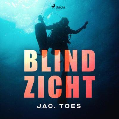 Blind zicht Blind zicht