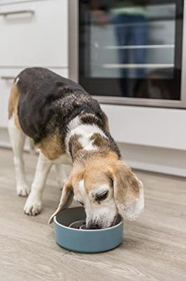 Voerbak voor honden Trixie Slow Feeding Blauw Grijs Ø 14 cm 450 ml
