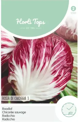 Zaden Radicchio Rossa Di Chioggia (Palla Rossa) Hortitops - Hortitops