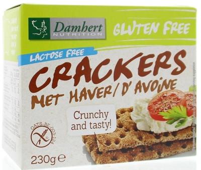 Damhert Gluten Free haver Crackers Lactose Free