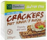 Damhert Gluten Free haver Crackers Lactose Free - thumbnail