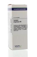 VSM Lycopus virginicus D6 20 Milliliter - thumbnail