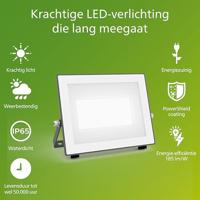 Philips LED Lois 929004643101 LED-buitenschijnwerper 24 W Lichtkleur (naam): Koudwit - thumbnail