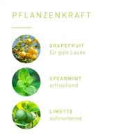 Primavera Joy of life blend 5 Milliliter - thumbnail