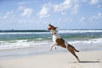 Waboba tailwind ball 6.5 cm - thumbnail