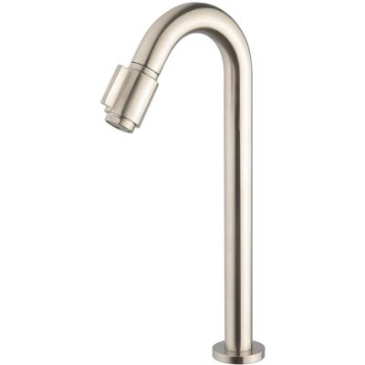 Wiesbaden Victoria Fonteinkraan - Toiletkraan - Koudwaterkraan - XL - 1/2 - Geborsteld Staal