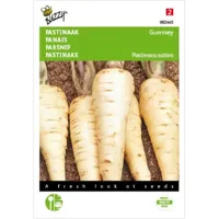 Pastinaak Guernsey - thumbnail