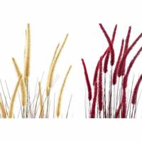 Decoratieve plant DKD Home Decor Oranje Polyethyleen Bordeaux PVC 30 x 30 x 150 cm (2 Stuks) - thumbnail