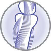 Pro Plan Kitten Healthy Start met kip kattenvoer 1,5 kg - thumbnail