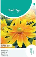 Zaden Rudbeckia Zonnehoed Prairie Sun Hortitops - Hortitops - thumbnail