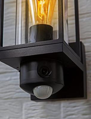 Buitenlamp camera Beveiliging &apos;Flair&apos; metaal glas zwart 32cm
