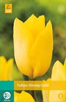 Tulp strong gold 7 bollen - thumbnail