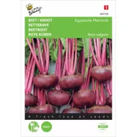 Biet/Kroot Egyptische Platronde - thumbnail