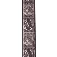 D&apos;Addario 50AL09 Alchemy gitaarband Aether Postage - thumbnail