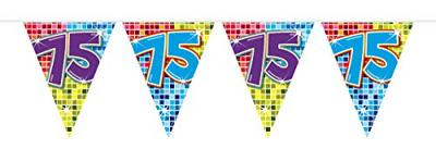 Folat mini vlaggenlijn 75 jaar 3 meter | 24 stuks