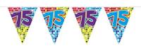 Folat mini vlaggenlijn 75 jaar 3 meter | 24 stuks - thumbnail