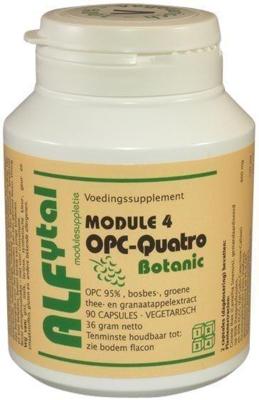 Alfytal OPC-quatro botanic met 4 polyfenolen 90 Vegetarische capsules Alfytal OPC-quatro botanic met 4 polyfenolen 90 Vegetarische capsules