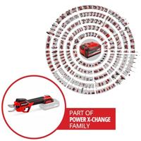 Einhell Professional GP-LS 18/28 Li BL-Solo 3408320 Takkenschaar - thumbnail