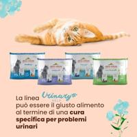 Almo Nature Urinary Help multipack met vis en kip natvoer kat (70 g) 6 x 70 g - thumbnail