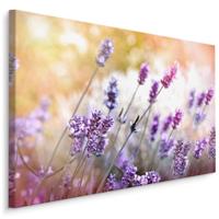 Schilderij - Lavendel in bloei , Wanddecoratie , Premium print - thumbnail
