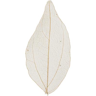 Creativ Company Skeleton leaves , l: 4,5-8 cm, naturel, 20 stuk/ 1 doos Creativ Company Skeleton leaves , l: 4,5-8 cm, naturel, 20 stuk/ 1 doos