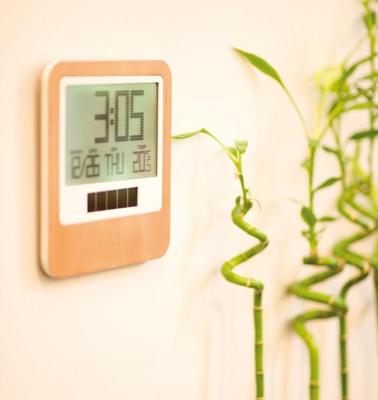 LEXON Safe Muurklok LEXON Safe Muurklok