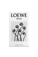 Loewe Agua Eau de Toilette 50ml - thumbnail