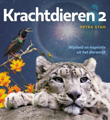 Krachtdieren (Paperback) Krachtdieren (Paperback)